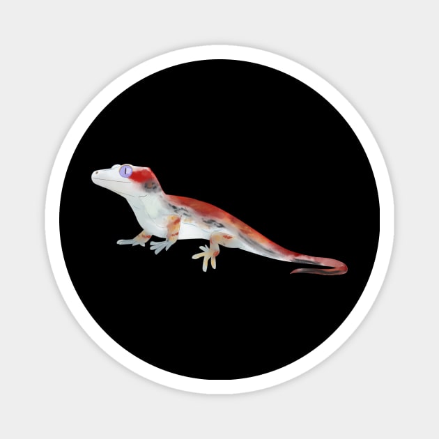 Gargoyle Gecko, Crested Gecko, Gecko Lovers Magnet by sockdogs